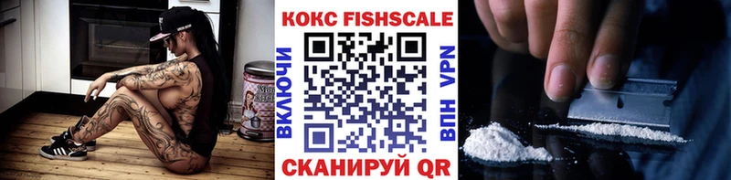 Кокаин Fish Scale  Купить закладки  Дальнереченск 