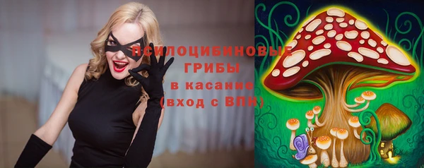 соль ск Переславль-Залесский