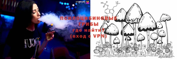 героин Пересвет