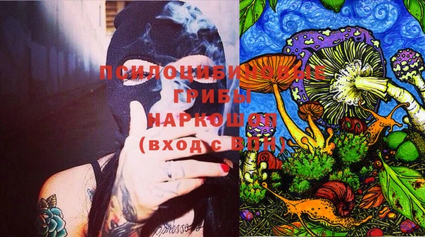 спиды Пестово
