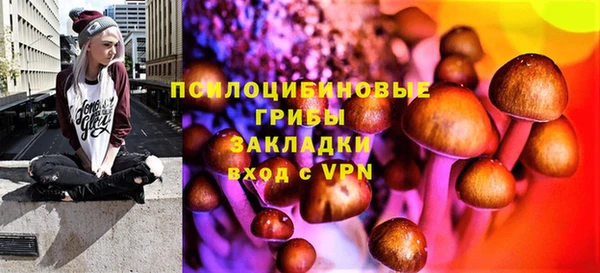 трава Покачи